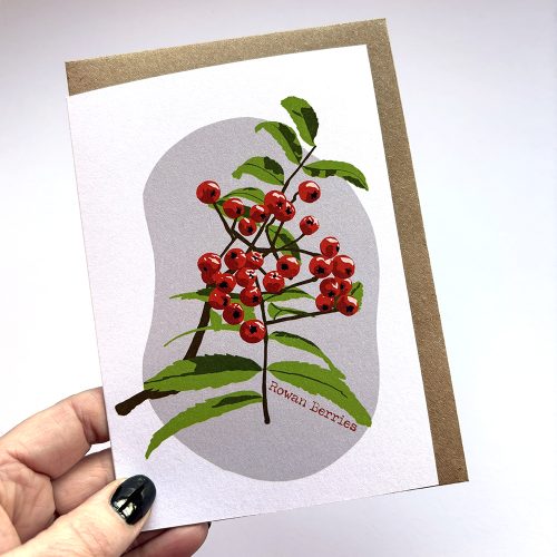 Illustration of Rowan Berries from a Rowan tree